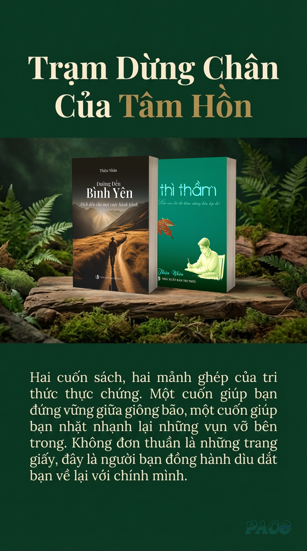 Đường Đến Bình Yên - Tác giả Thiện Nhân - Hành trình đứng vững giữa giông bão