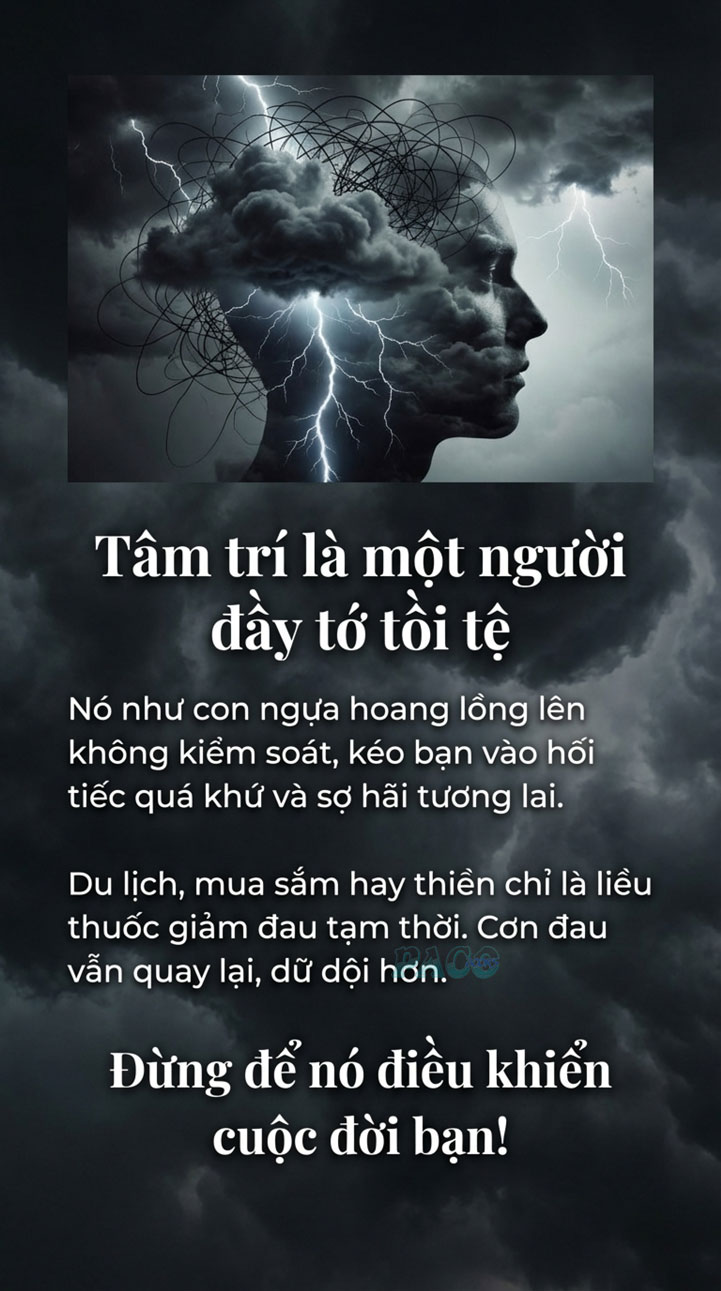 Thoát khỏi sự ăn mày công nhận và tháp ngà sụp đổ