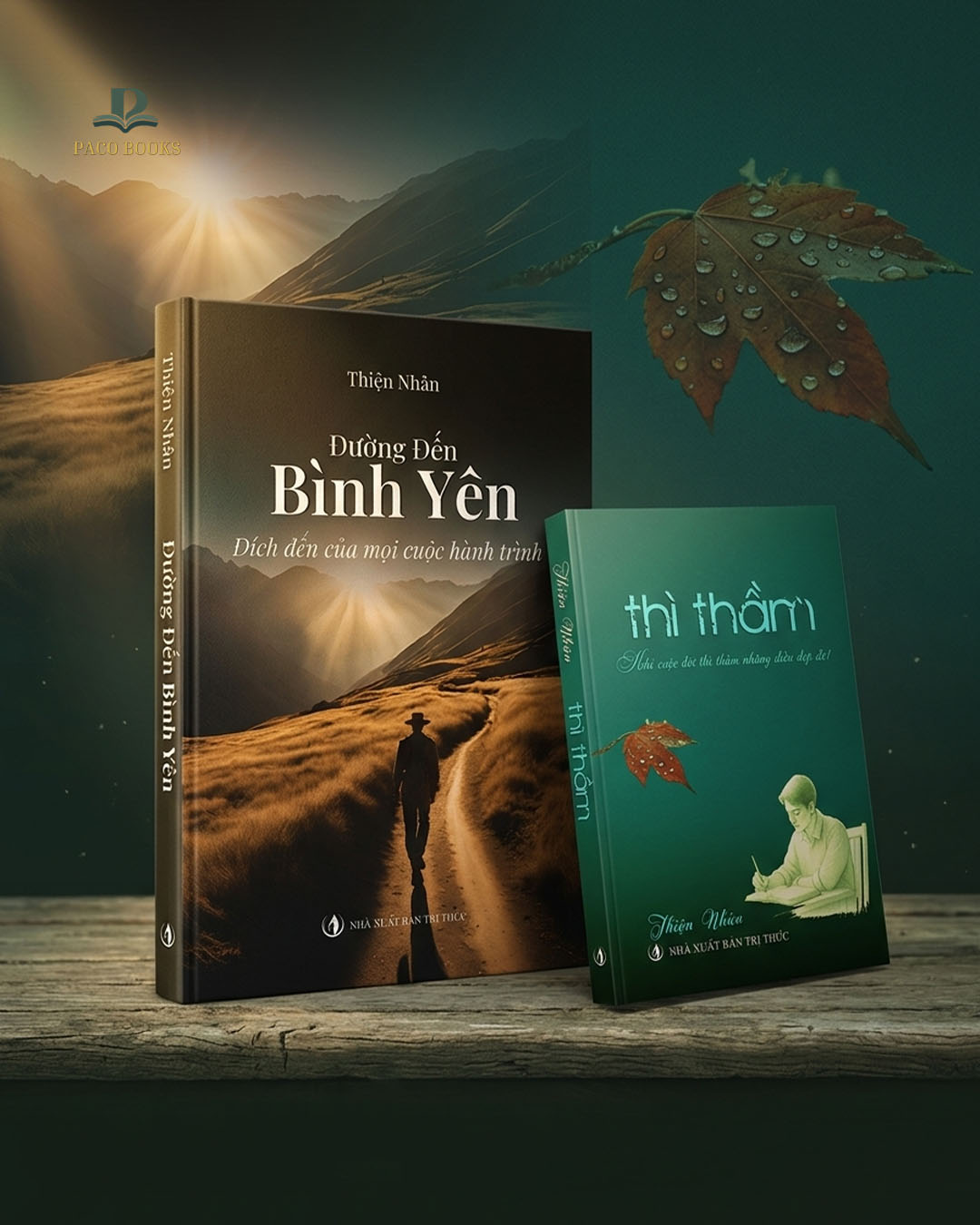 Sách Hay Nên Đọc — Tác giả Thiện Nhân